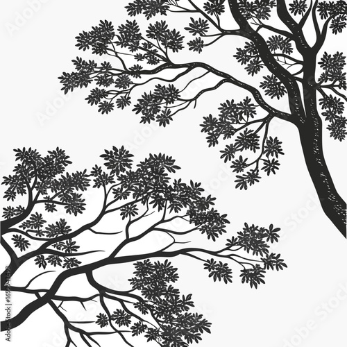 Stylized silhouette of lush tree branches with dense foliage against a clean white background creating a graphic and elegant natural design