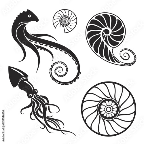 Collection of black ink silhouette illustrations of marine life including a squid octopus tentacles and nautilus shells on a white background perfect for nautical or ocean themed designs