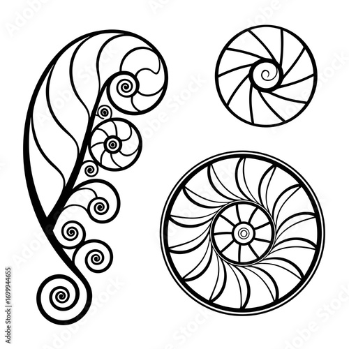 Elegant black and white abstract swirling spiral designs and a fern frond element representing nature and organic patterns in a clean graphic illustration