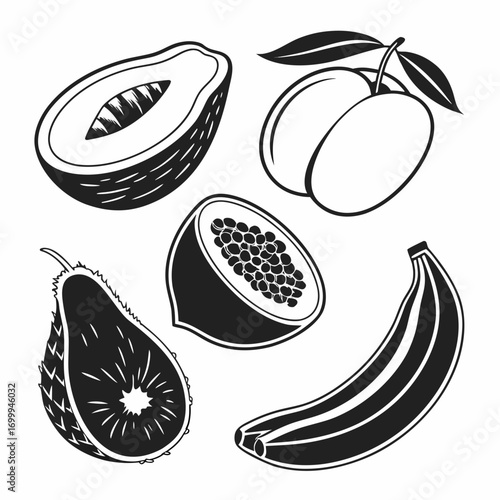 A collection of stylized black and white illustrations of tropical fruits including papaya bananas plums and a spiky fruit perfect for healthy eating and food related designs