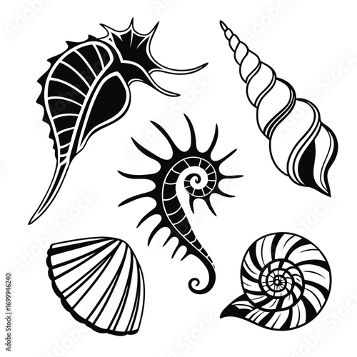 Collection of stylized black and white seashell and marine life illustrations including a seahorse nautilus ammonite and conch shell creating a decorative pattern