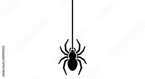 Creepy black spider hanging on a thread for Halloween spooky design elements and scary backgrounds