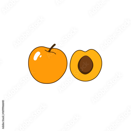 Ripe apricot fruit in 2D flat vector style, bold outline, perfect for jam labels, summer designs, and healthy food illustration projects.