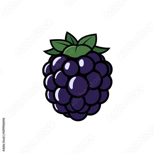 Juicy blackberry in 2D flat vector style, bold outline, ideal for summer desserts, jam branding, and healthy berry product designs.