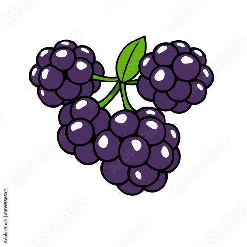 Cluster of boysenberries in flat 2D vector style, bold outline, perfect for jam labels, dessert packaging, and berry product illustrations.