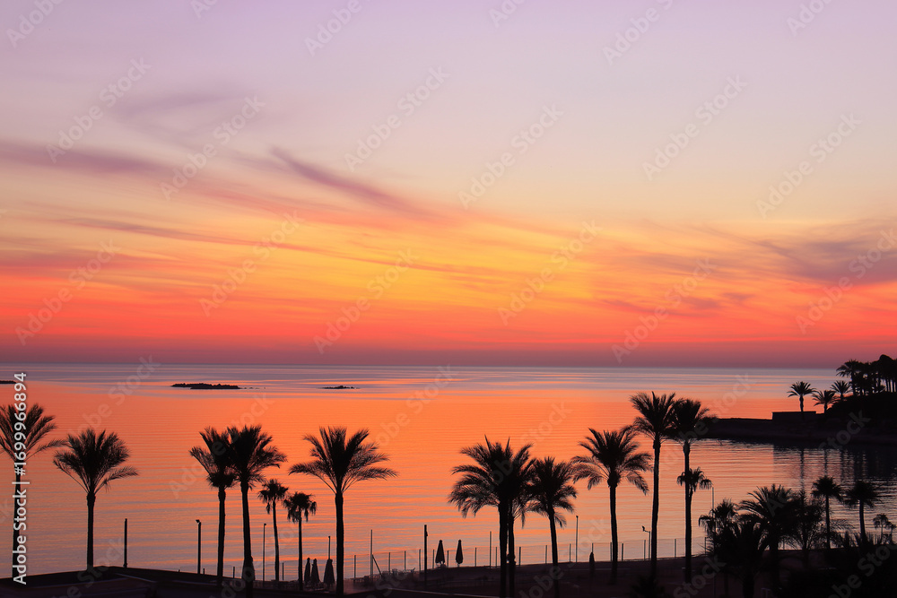 Naklejka premium Sunset view over calm sea, orange and pink sky reflecting on water, silhouettes of palm trees on shore. 