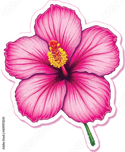 Vibrant pink hibiscus flower with yellow-red stamen and green stem, stylized botanical vector illustration on soft background