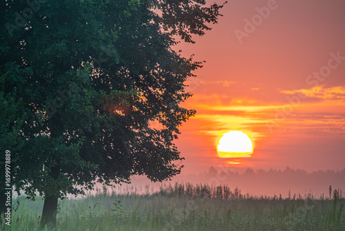 Scenic meadow bathed in the golden light of sunrise, with a gentle mist rising above the grass. A peaceful natural landscape perfect for nature, relaxation, and eco themes.
