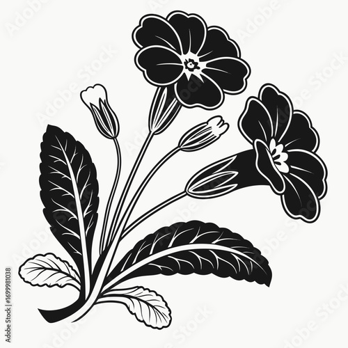 Elegant Black and White Botanical Flower Illustration 5.