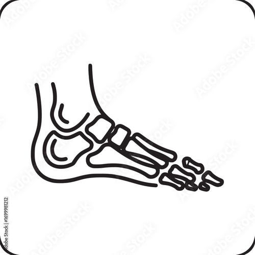 Illustration of a human foot skeleton isolated on white background, showcasing the bone structure and anatomy, in a minimalist line art style for educational purposes
