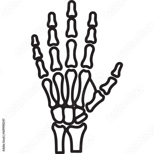 Illustration of a human hand skeleton isolated on white background, showcasing the bone structure and anatomy, in a minimalist line art style for educational purposes