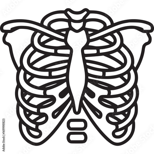 Simple line drawing of a human ribcage, showcasing the bones and sternum, isolated on white background ideal for medical illustrations and educational materials