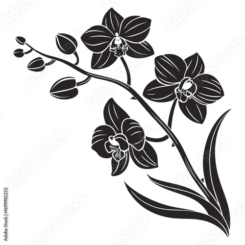 Elegant Black Orchid Flower Branch Vector Illustration.