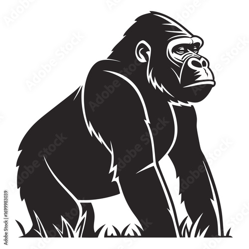 Majestic Gorilla Standing Vector Illustration.