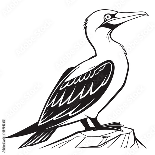 Stylized Booby Seabird Standing on Rock Vector Illustration.