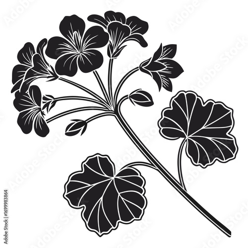 Stylized Geranium Flower Branch Vector Illustration.