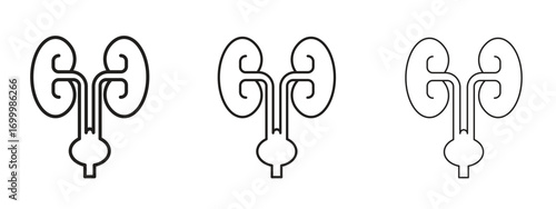 Urology icon with outline style, vector illustration designs