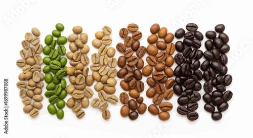 Coffee Bean Roasting Spectrum Displaying Stages from Green to Dark Brown, Ideal for Coffee Production, Quality Control, and Educational Material