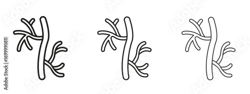 Human artery icon with outline style, vector illustration designs