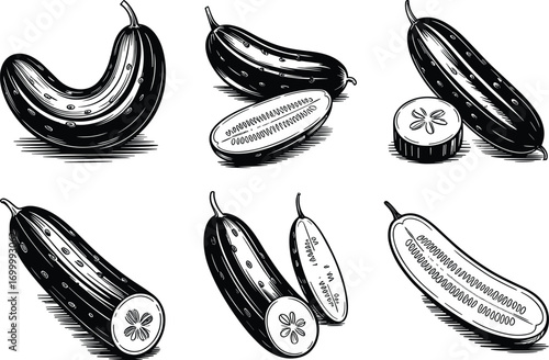 Vintage cucumber illustrations, black and white botanical drawings, sliced and whole cucumbers, vegetable art, farm produce sketch, detailed agriculture food design elements