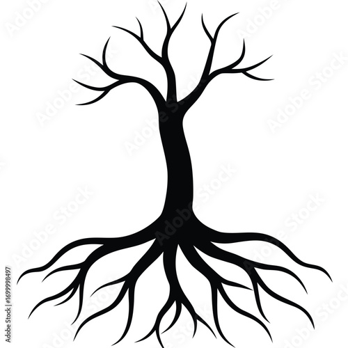 Black silhouette of a bare tree with prominent roots spreading outwards on a white background branches