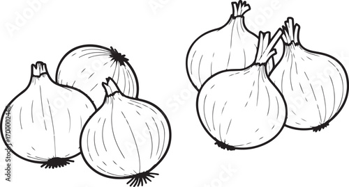Onion Silhouette Vector Illustration Fresh Vegetable Healthy Eating Vegetarian Diet
