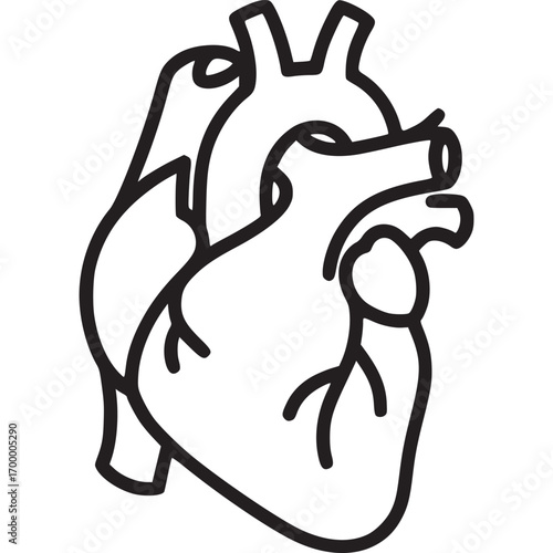 Human heart icon isolated on white background anatomy, organ, cardiovascular system, health, medicine simple outline vector illustration of a human heart