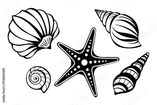 Collection of Black and White Seashells and Starfish.