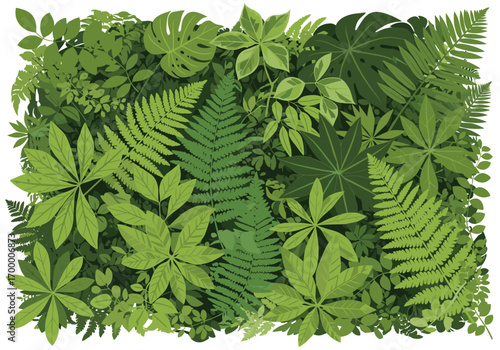 A dense tapestry of lush green ferns and tropical leaves in an overgrown forest floor setting