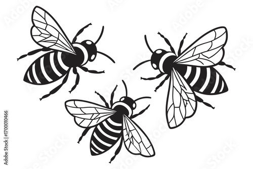 Three Stylized Black and White Bees.