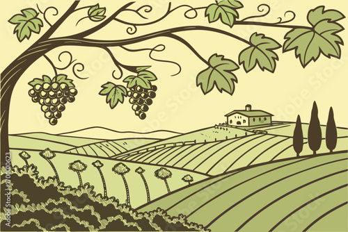 Vineyard landscape with farmhouse and grapevines.