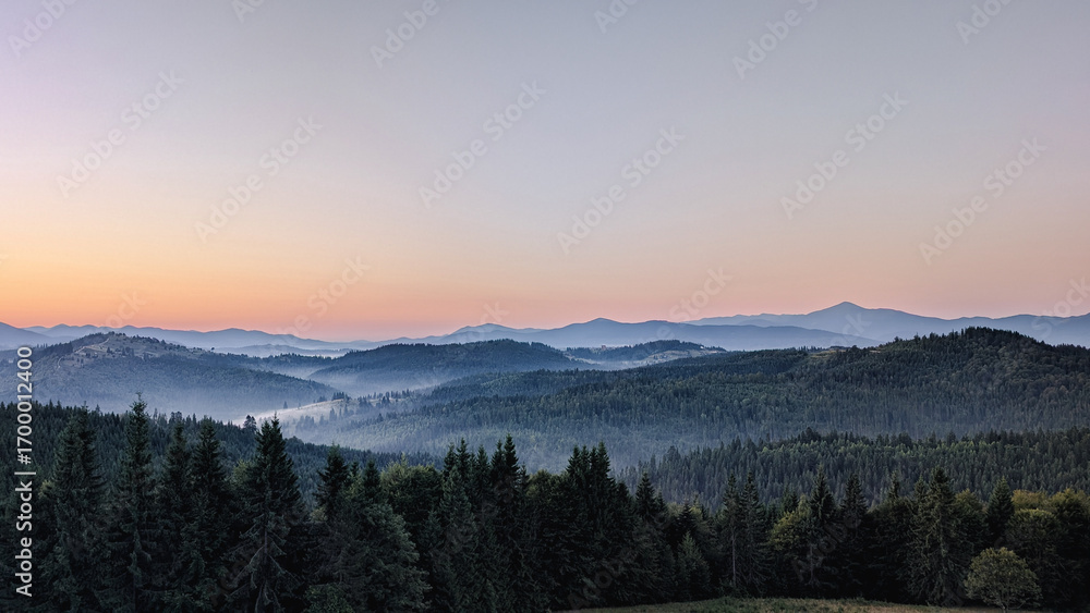 Obraz premium mmountain sunrise with pine forest in foreground
