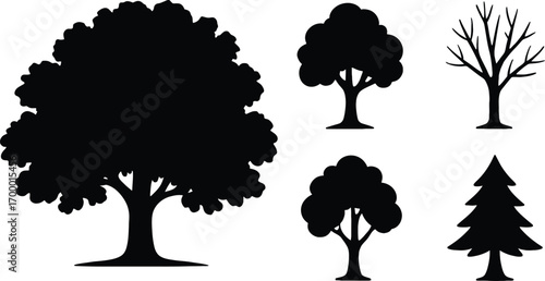 Nature Forest Collection
