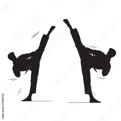 Martial artists performing high kicks martial arts