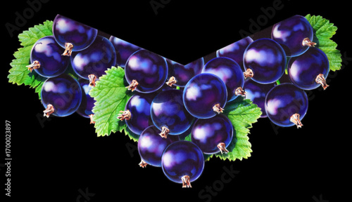 Airbrush Illustration aus den 1990er Jahren, schwarze Johannisbeeren auf schwarzem Hintergrund