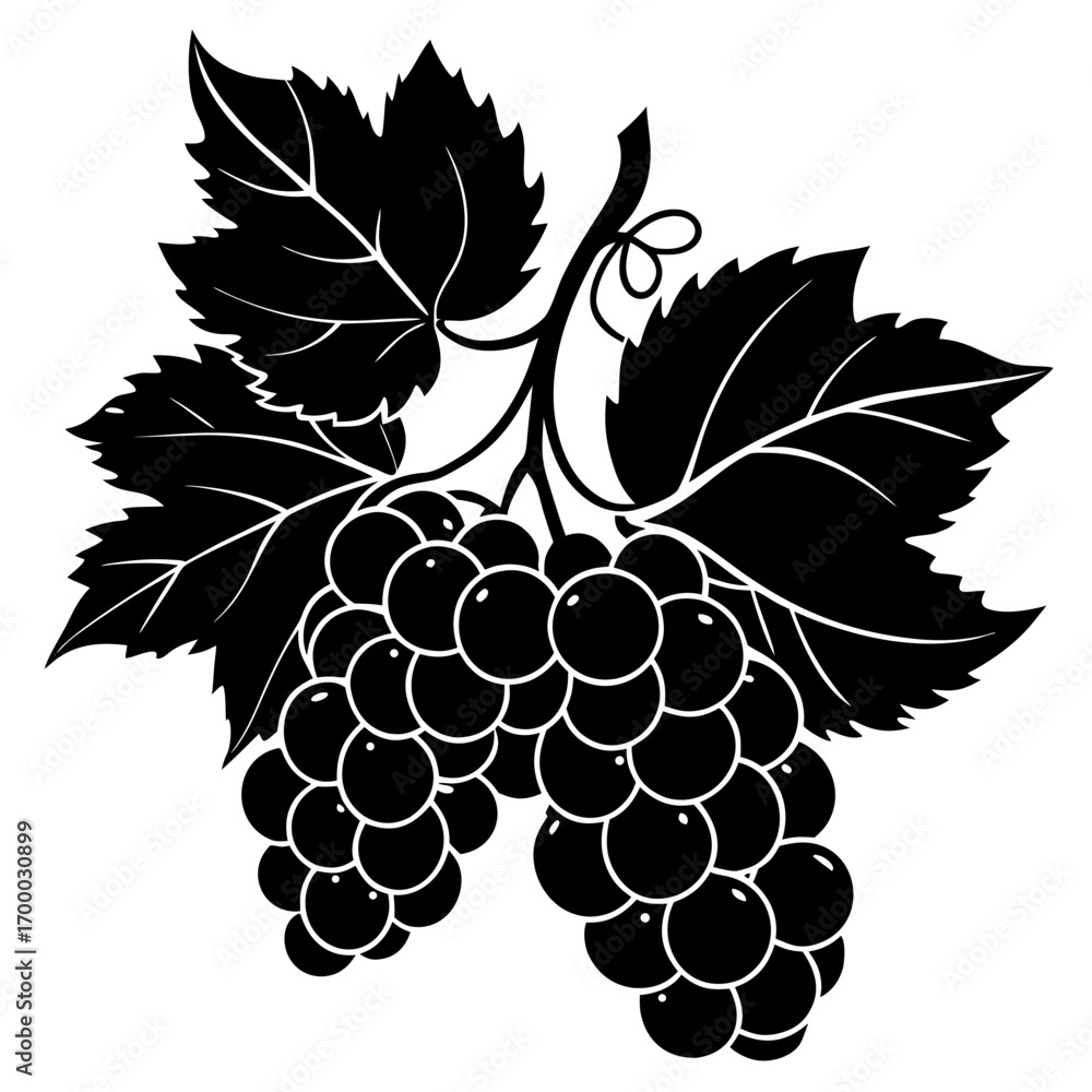 Fototapeta premium grapes vector illustration