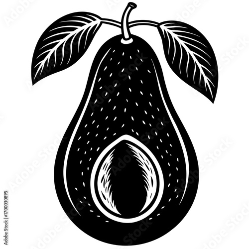 pear fruit vector illustration