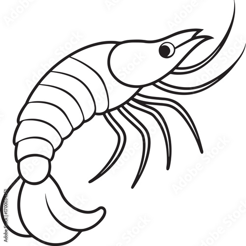 Simple line drawing of a shrimp vector illustration	