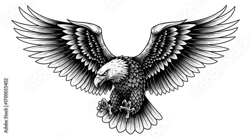 Black and White Illustration of Fierce Eagle with Outstretched Wings and Clawed Talons