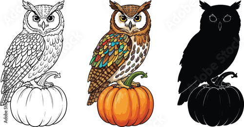 Vector art of hand drawn owl sitting a pumpkin in different styles, including line art, color, and silhouette