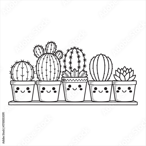cactus trio with different textures in a round planter
