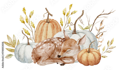 Watercolor Fawn sleeping among pumpkins and autumn plants. Illustration of Deer for harvest greeting cards or invitations. Autumn compositions with forest animal and fall leaves