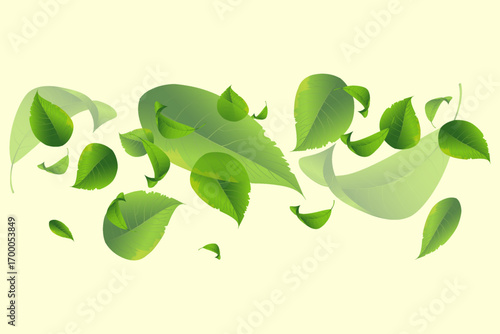 Fresh green foliage swirl, spring and summer leaves composition