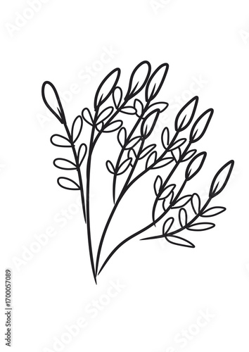 branch of a tree with flowers
