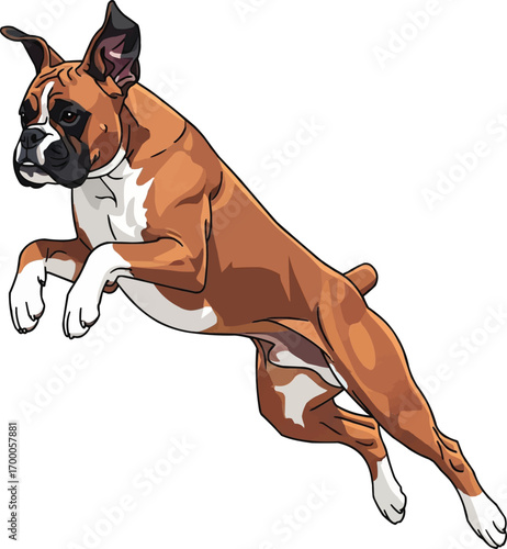 Boxer dog jumping leaping athletic vector illustration