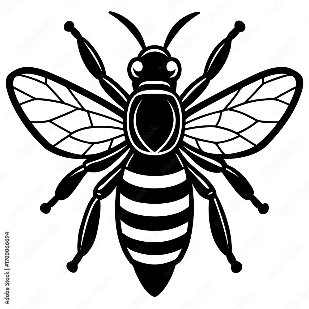Fototapeta premium bee vector illustration