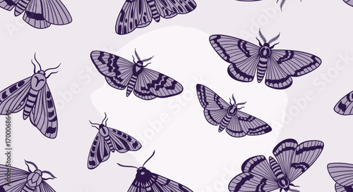 An illustrated collection of various moths with intricate wing patterns and antennae displayed on a pale lavender background