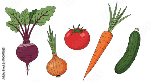 Fresh garden vegetables including beetroot onion tomato carrot and cucumber ready for cooking and healthy eating
