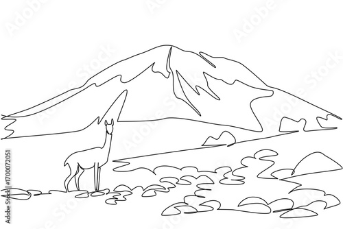 A continuous line drawing featuring a llama standing near Chimborazo mountain, symbolizing Ecuador’s rich culture and nature concept, created for Chimborazo Day celebration design.