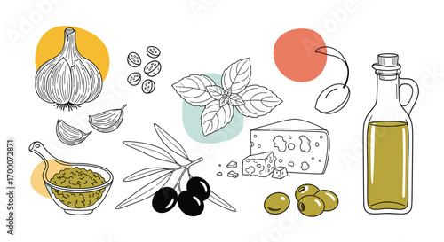 Collection of hand drawn illustrations of olive oil ingredients herbs and cheeses for culinary creations